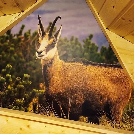 U Gabrysi * Koscielisko