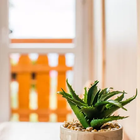 U Gabrysi Homestay szállás *