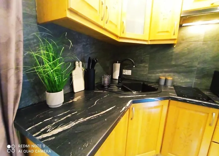 בית אירוח U Gabrysi